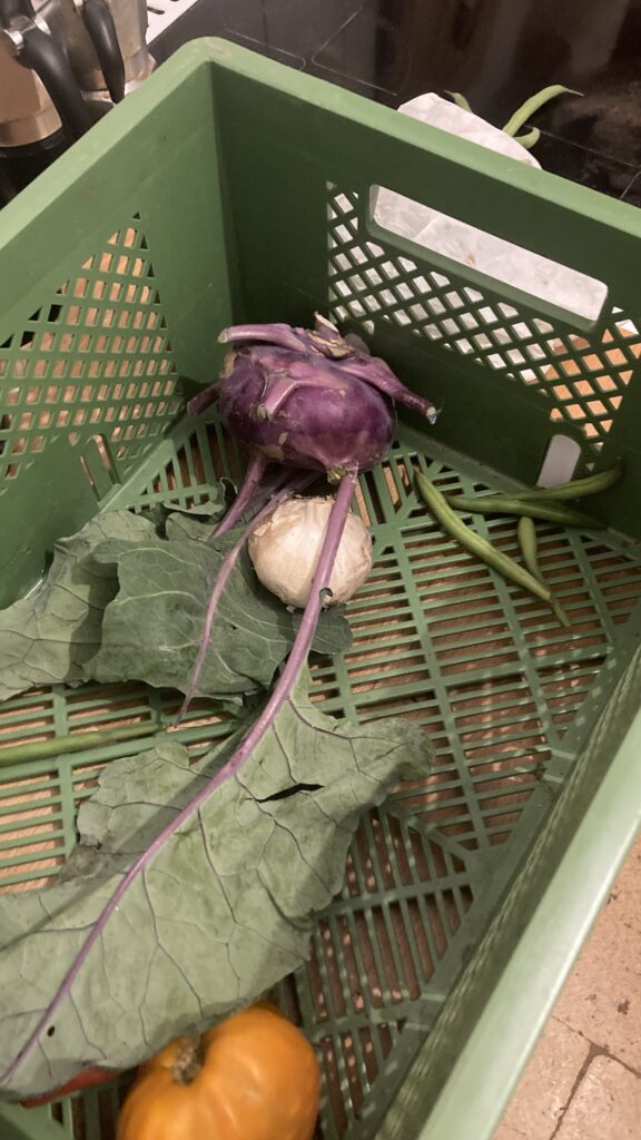 Sogar ein Knoblauch da!