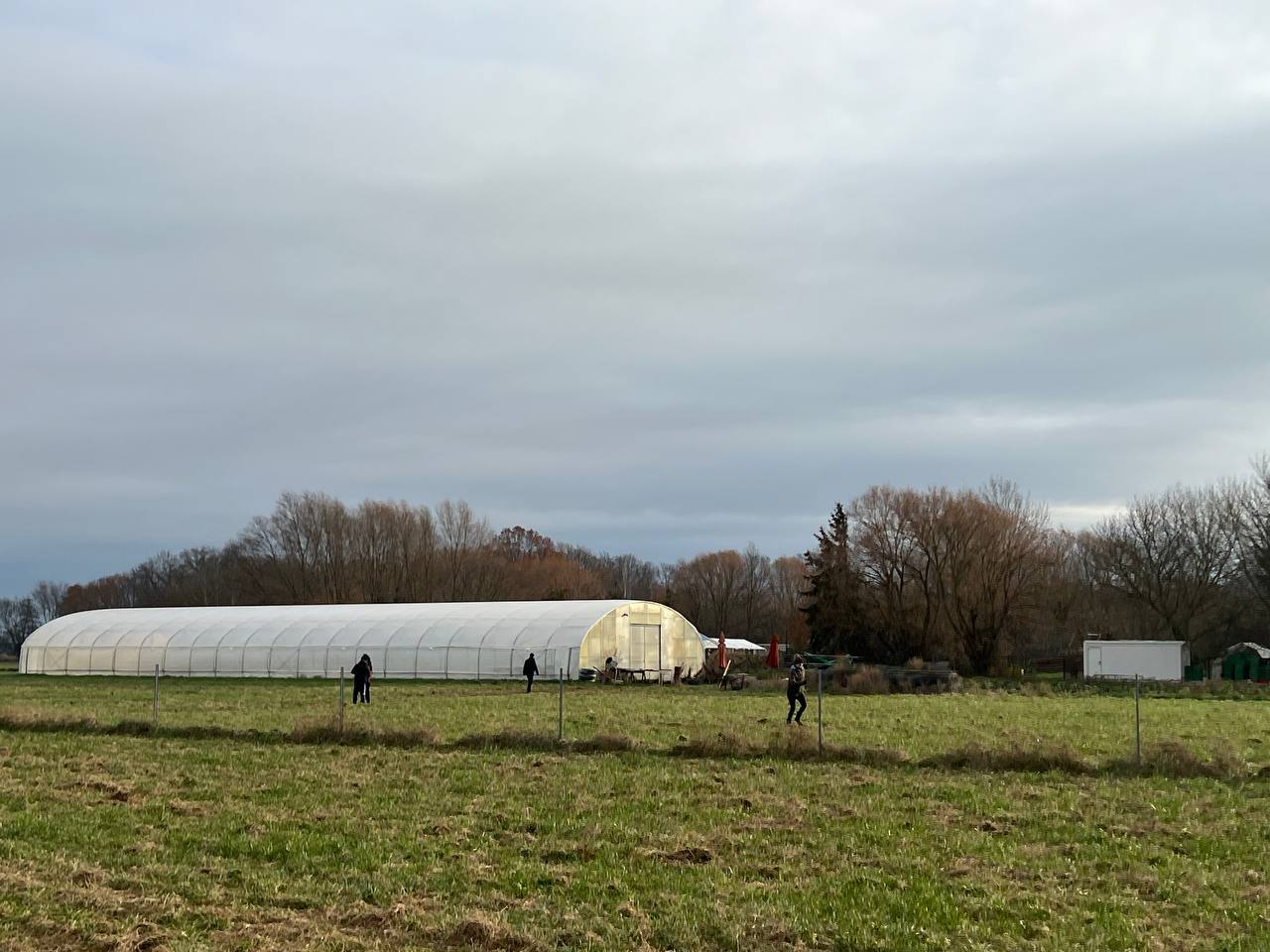 Solibox Solile Gewaechshaus