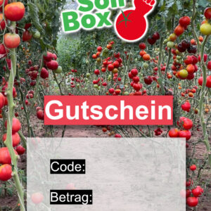 Solibox Gutschein