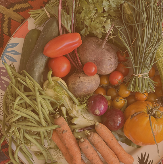 Leckeres Gemuese Solibox