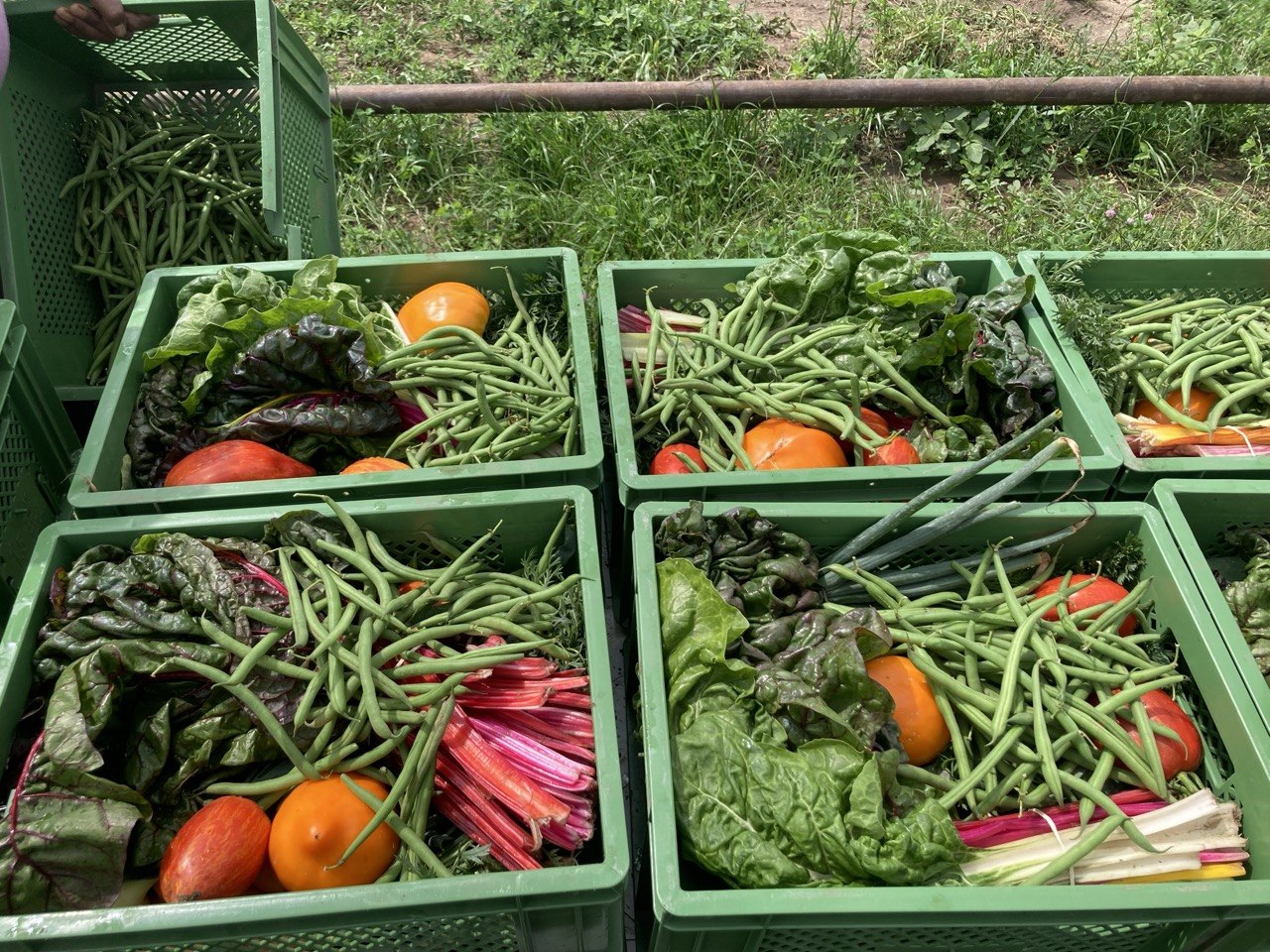 Solibox Kiste Gutschein